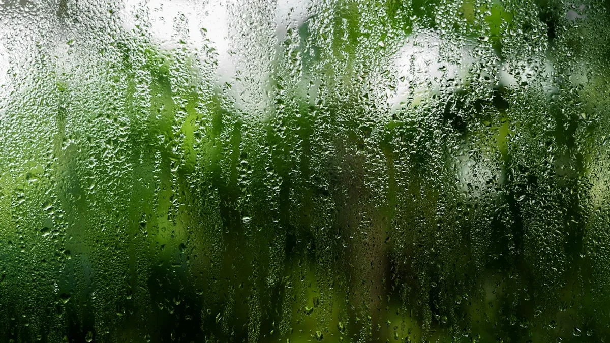 Dehumidifiers: home environment